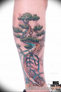 Фото тату Бонсай 26.10.2018 №151 - tattoo bonsai - tattoo-photo.ru