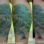 Фото тату Бонсай 26.10.2018 №154 - tattoo bonsai - tattoo-photo.ru