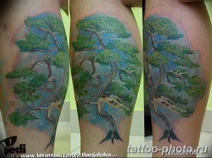 Фото тату Бонсай 26.10.2018 №154 - tattoo bonsai - tattoo-photo.ru