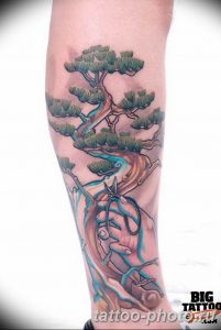 Фото тату Бонсай 26.10.2018 №163 - tattoo bonsai - tattoo-photo.ru