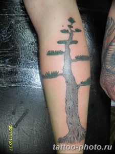 Фото тату Бонсай 26.10.2018 №169 - tattoo bonsai - tattoo-photo.ru