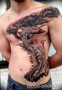 Фото тату Бонсай 26.10.2018 №173 - tattoo bonsai - tattoo-photo.ru