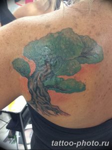 tattoos of bonsai trees Covering up an old tattoo and a scar wit