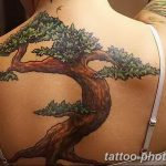 Фото тату Бонсай 26.10.2018 №181 - tattoo bonsai - tattoo-photo.ru