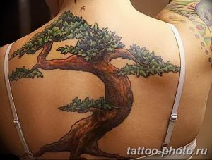 Фото тату Бонсай 26.10.2018 №181 - tattoo bonsai - tattoo-photo.ru