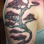 tattoos of bonsai trees Bonsai tree tattoo by Amanda Marie The T
