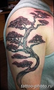 tattoos of bonsai trees Bonsai tree tattoo by Amanda Marie The T