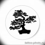 Фото тату Бонсай 26.10.2018 №186 - tattoo bonsai - tattoo-photo.ru