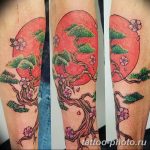 Фото тату Бонсай 26.10.2018 №192 - tattoo bonsai - tattoo-photo.ru