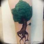 Фото тату Бонсай 26.10.2018 №197 - tattoo bonsai - tattoo-photo.ru