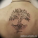 Фото тату Бонсай 26.10.2018 №199 - tattoo bonsai - tattoo-photo.ru