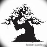 Фото тату Бонсай 26.10.2018 №201 - tattoo bonsai - tattoo-photo.ru