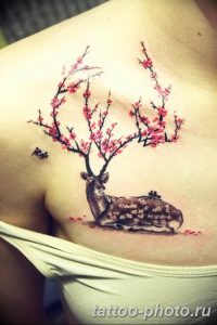 Фото тату Бонсай 26.10.2018 №206 - tattoo bonsai - tattoo-photo.ru