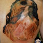 Фото тату беркут 10.10.2018 №002 - tattoo eagle - tattoo-photo.ru