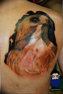 Фото тату беркут 10.10.2018 №002 - tattoo eagle - tattoo-photo.ru