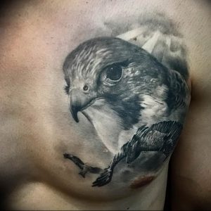 Фото тату беркут 10.10.2018 №033 - tattoo eagle - tattoo-photo.ru