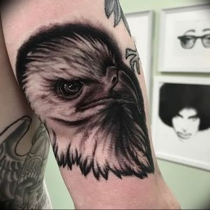 Фото тату беркут 10.10.2018 №034 - tattoo eagle - tattoo-photo.ru