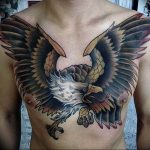 Фото тату беркут 10.10.2018 №035 - tattoo eagle - tattoo-photo.ru