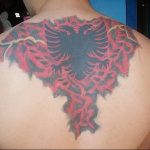 Фото тату беркут 10.10.2018 №044 - tattoo eagle - tattoo-photo.ru