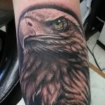 Фото тату беркут 10.10.2018 №055 - tattoo eagle - tattoo-photo.ru