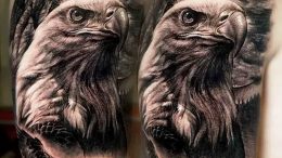 Фото тату беркут 10.10.2018 №069 - tattoo eagle - tattoo-photo.ru