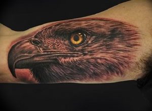 Фото тату беркут 10.10.2018 №080 - tattoo eagle - tattoo-photo.ru