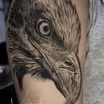 Фото тату беркут 10.10.2018 №085 - tattoo eagle - tattoo-photo.ru