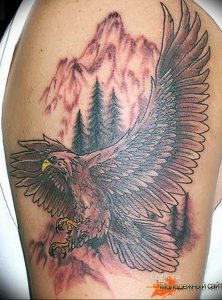Фото тату беркут 10.10.2018 №093 - tattoo eagle - tattoo-photo.ru