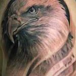 Фото тату беркут 10.10.2018 №099 - tattoo eagle - tattoo-photo.ru