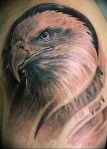 Фото тату беркут 10.10.2018 №099 - tattoo eagle - tattoo-photo.ru