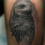 Фото тату беркут 10.10.2018 №104 - tattoo eagle - tattoo-photo.ru