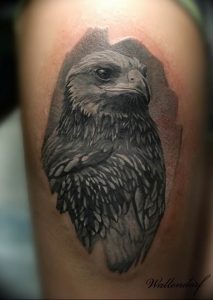 Фото тату беркут 10.10.2018 №104 - tattoo eagle - tattoo-photo.ru