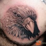 Фото тату беркут 10.10.2018 №106 - tattoo eagle - tattoo-photo.ru