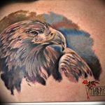 Фото тату беркут 10.10.2018 №110 - tattoo eagle - tattoo-photo.ru