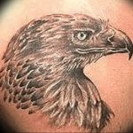 Фото тату беркут 10.10.2018 №122 - tattoo eagle - tattoo-photo.ru
