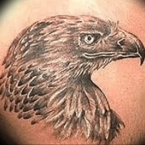 Фото тату беркут 10.10.2018 №122 - tattoo eagle - tattoo-photo.ru
