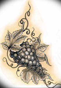Фото тату виноград 10.10.2018 №004 - tattoo grapes - tattoo-photo.ru