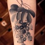 Фото тату виноград 10.10.2018 №034 - tattoo grapes - tattoo-photo.ru