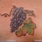 Фото тату виноград 10.10.2018 №036 - tattoo grapes - tattoo-photo.ru