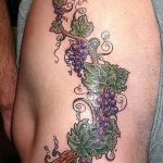 Фото тату виноград 10.10.2018 №047 - tattoo grapes - tattoo-photo.ru