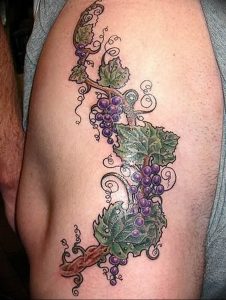 Фото тату виноград 10.10.2018 №047 - tattoo grapes - tattoo-photo.ru