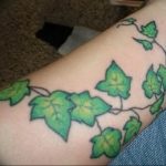 Фото тату виноград 10.10.2018 №048 - tattoo grapes - tattoo-photo.ru