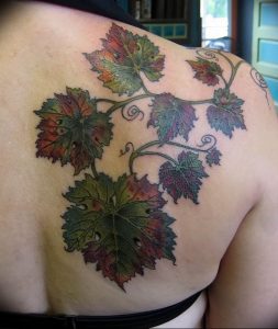 Фото тату виноград 10.10.2018 №050 - tattoo grapes - tattoo-photo.ru