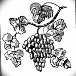 Фото тату виноград 10.10.2018 №072 - tattoo grapes - tattoo-photo.ru