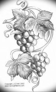 Фото тату виноград 10.10.2018 №113 - tattoo grapes - tattoo-photo.ru