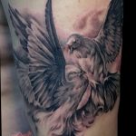 Фото тату голубь 26.10.2018 №018 - tattoo dove - tattoo-photo.ru