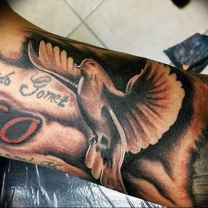 Фото тату голубь 26.10.2018 №022 - tattoo dove - tattoo-photo.ru