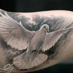 Фото тату голубь 26.10.2018 №030 - tattoo dove - tattoo-photo.ru