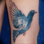 Фото тату голубь 26.10.2018 №051 - tattoo dove - tattoo-photo.ru