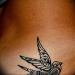 Фото тату голубь 26.10.2018 №067 - tattoo dove - tattoo-photo.ru